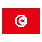 突尼斯 突尼斯